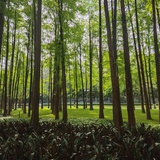 普普通通的28岁