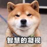 大风吹跑了