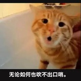 顾諟