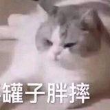 嬛嬛