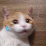ku