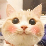 大二