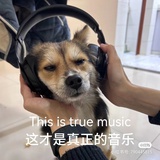 Lee的优雅