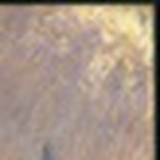 Eva_Mao