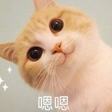 兰蓝阑岚