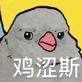 小羊宇宙