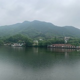 皮皮很皮