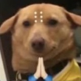 尼古拉斯小黑