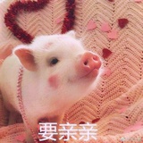 阿沧啊