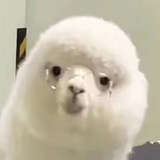 Hhhhn