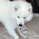 丿🧛🏽‍♀️