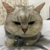 请叫我少女