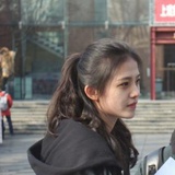 红尾热带鸟