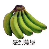 绿色的祝福