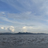 阿杜蜀黍