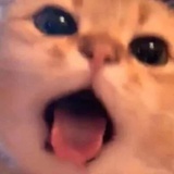 快乐宝典