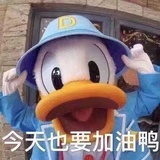 吃瓜也要吃甜瓜