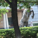 小纯F