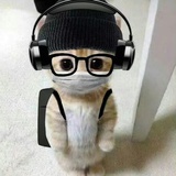 云云