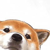 fine
