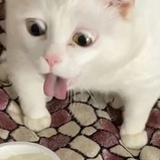 蜗牛蜗牛快出来
