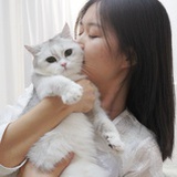 舒禾