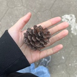 du_