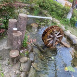 貃塵