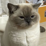 超级无敌好心情