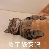 硬糖少女宁艺卓
