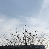 别问我在不在