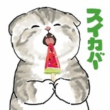 aimiyomi