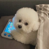 柠檬精