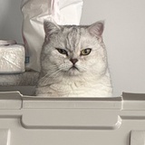 Sandra