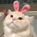 潘耀彤