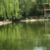 珍惜生活