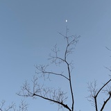 明日复