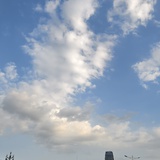 向春山