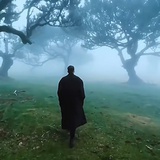 菊花茶干脆一点