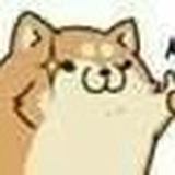 随便随便