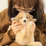 时间会回答