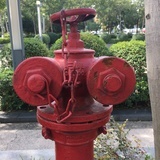 老板来份烤冷面