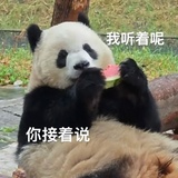 喵喵描喵