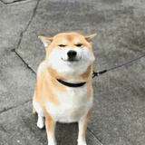 Au