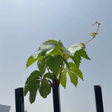 rudjsndbh