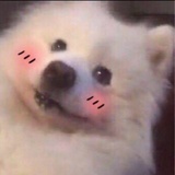 大裤衩子