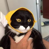 食垚兀