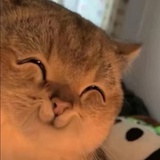 Jnwhwnhwdjhw