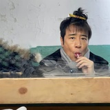 几度花开又花落