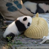 图阿图